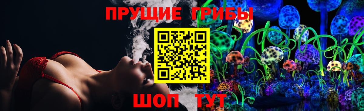 Реж  Псилоцибиновые грибы Psilocybine cubensis  Галлюциногенные грибы Cubensis  Вход с VPN 